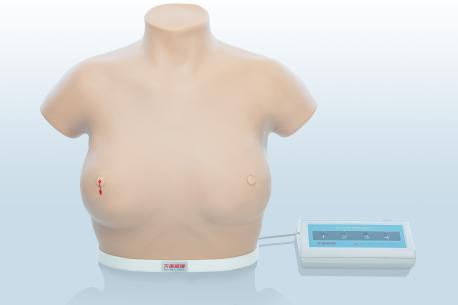 電子乳腺癌觸診、視診訓練模型
